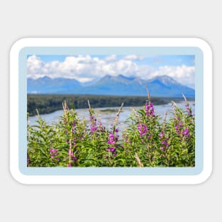 USA. Alaska. Denali National Park. Fireweeds. Sticker